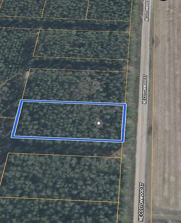 1 Acre of Residential Land for Sale in Lee, Florida