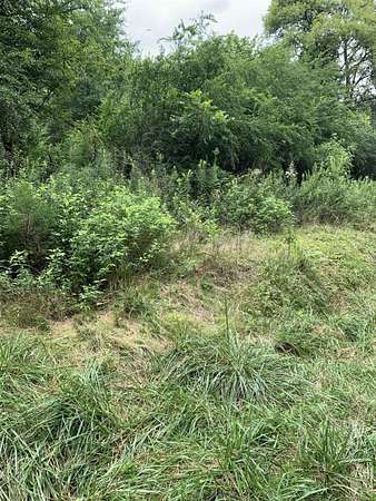 1 Acre of Residential Land for Sale in Lee, Florida