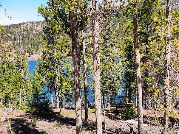 1.12 Acres of Land for Sale in Red Feather Lakes, Colorado