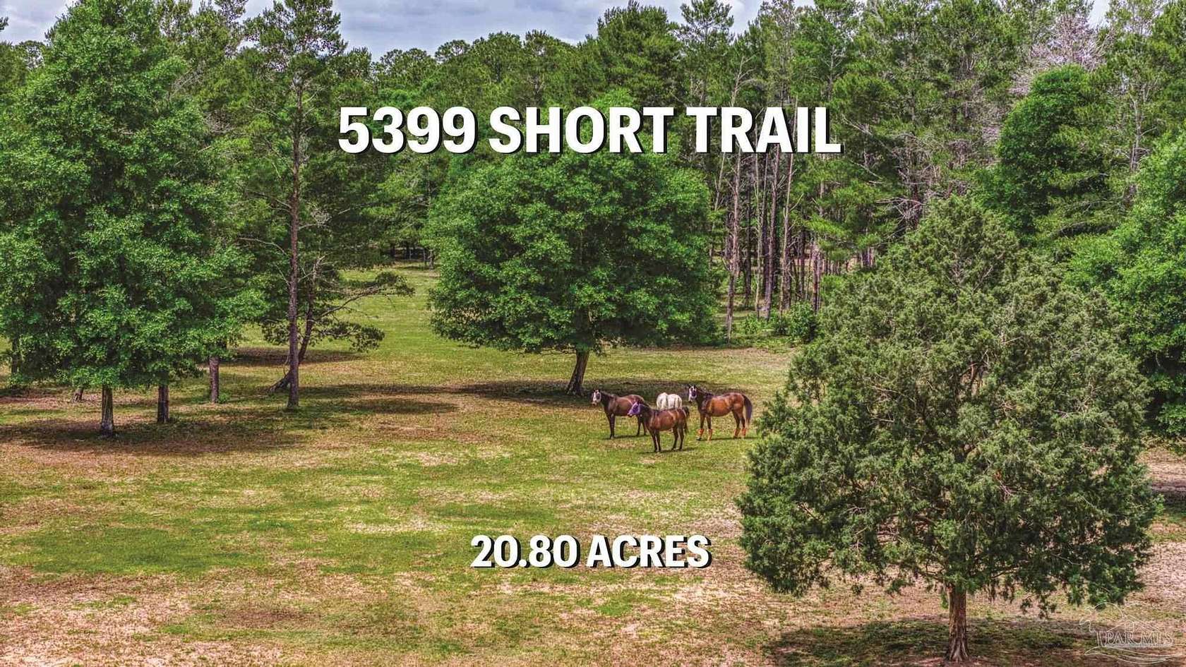 20.8 Acres of Recreational Land & Farm for Sale in Milton, Florida