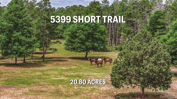 20.8 Acres of Recreational Land & Farm for Sale in Milton, Florida