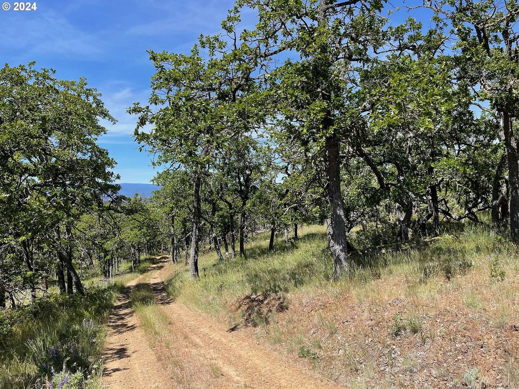 5 Acres of Land for Sale in Goldendale, Washington