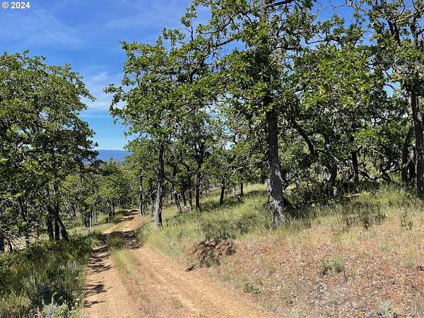 5 Acres of Land for Sale in Goldendale, Washington
