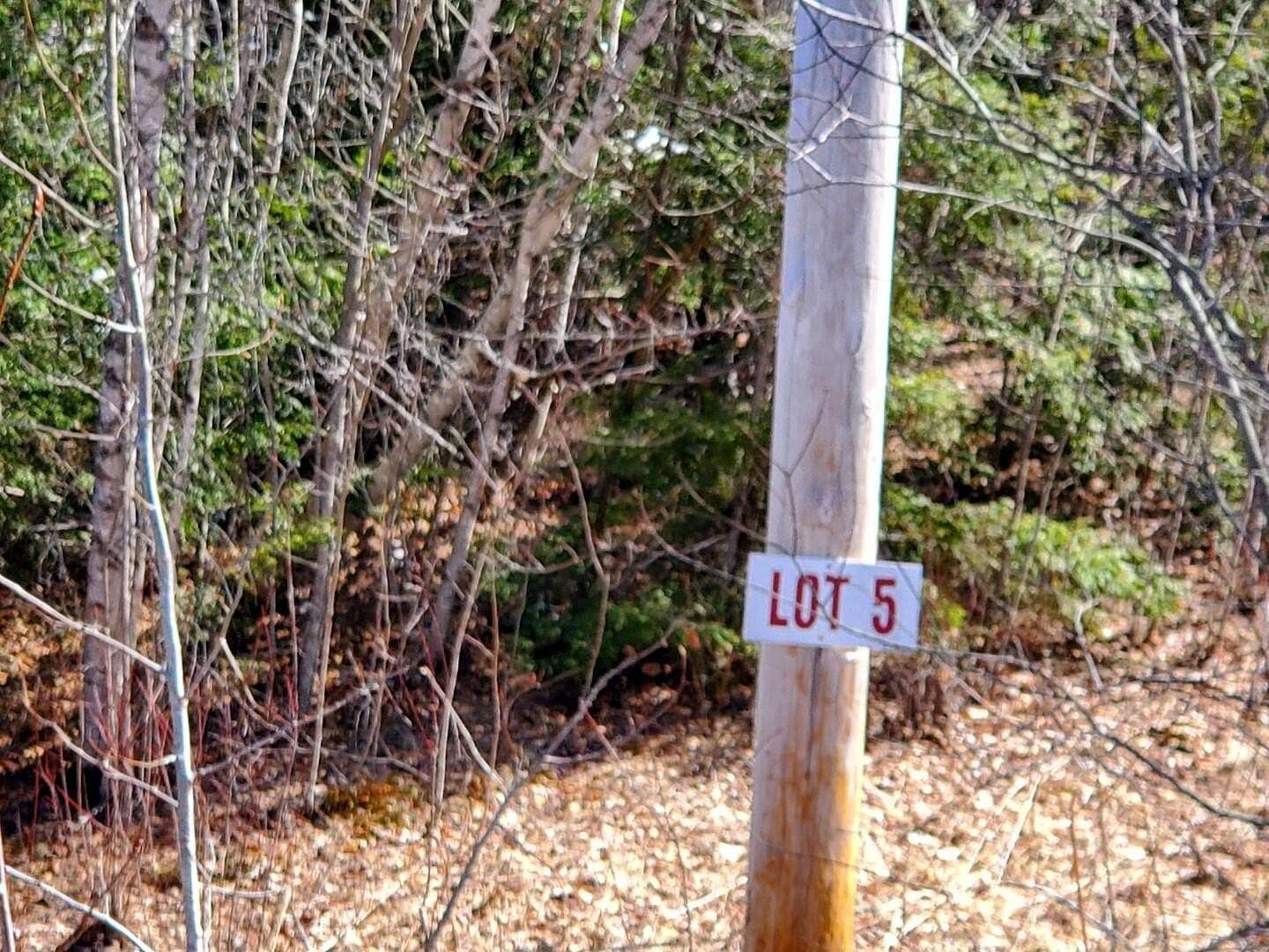 5.9 Acres of Residential Land for Sale in Frankfort, Maine