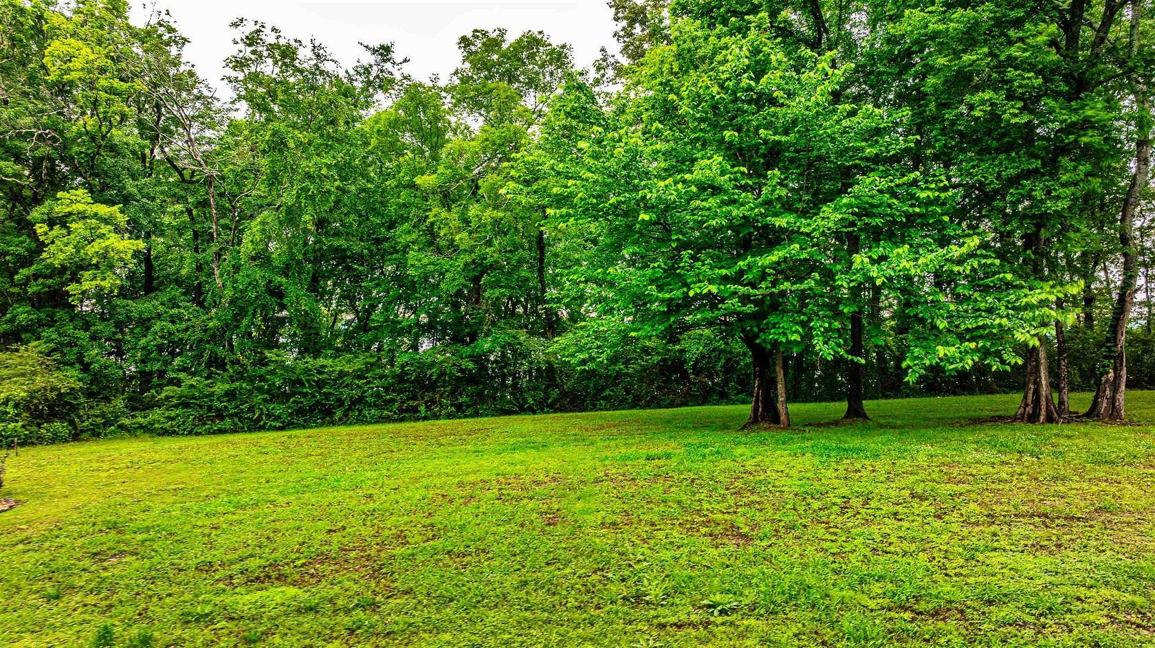 1 Acre of Residential Land for Sale in Muscle Shoals, Alabama