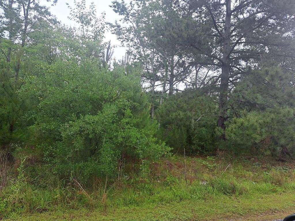 1.52 Acres of Land for Sale in Santee, South Carolina