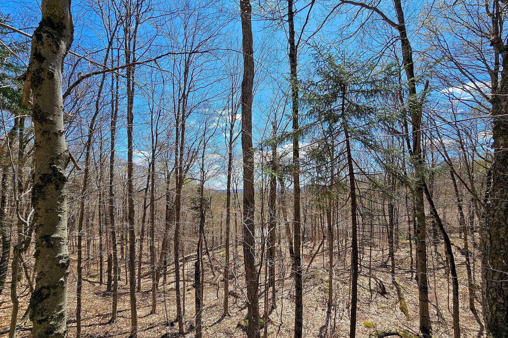 2.68 Acres of Residential Land for Sale in Old Forge, New York