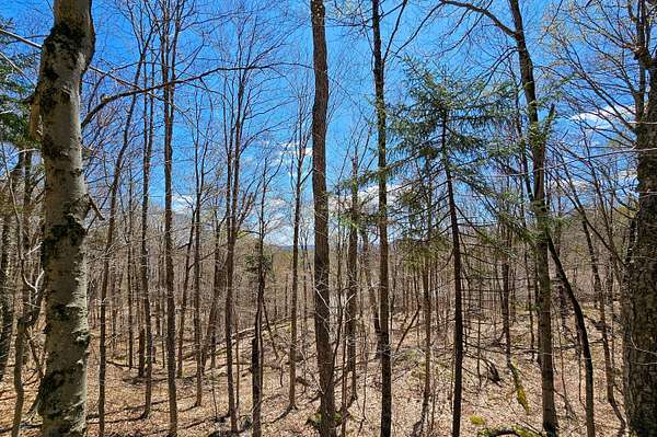 2.68 Acres of Residential Land for Sale in Old Forge, New York