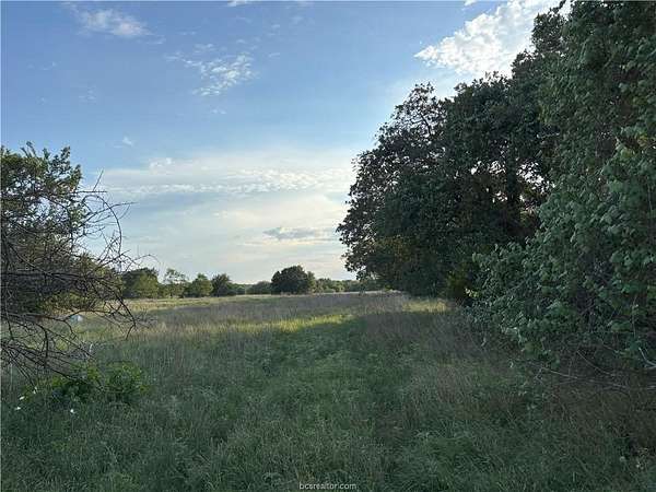73.4 Acres of Land for Sale in Rockdale, Texas