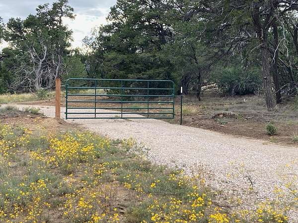 10.6 Acres of Land for Sale in Ramah, New Mexico