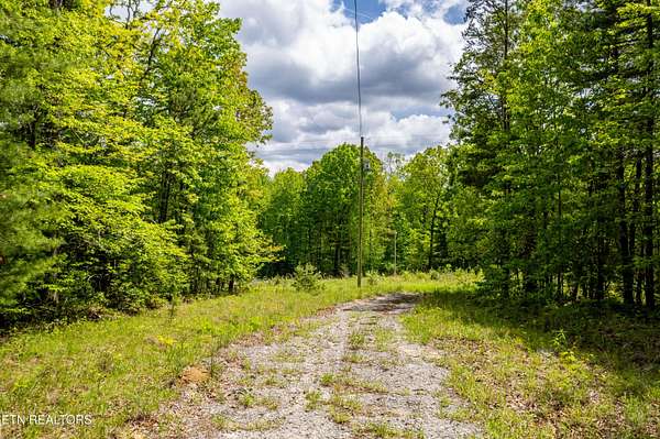 16 Acres of Land for Sale in Spring City, Tennessee