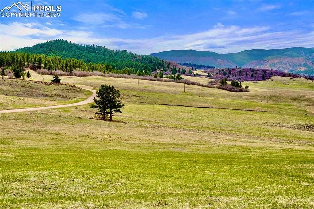 20 Acres of Land for Sale in Larkspur, Colorado
