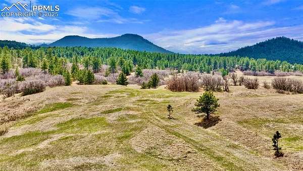 25 Acres of Land for Sale in Larkspur, Colorado