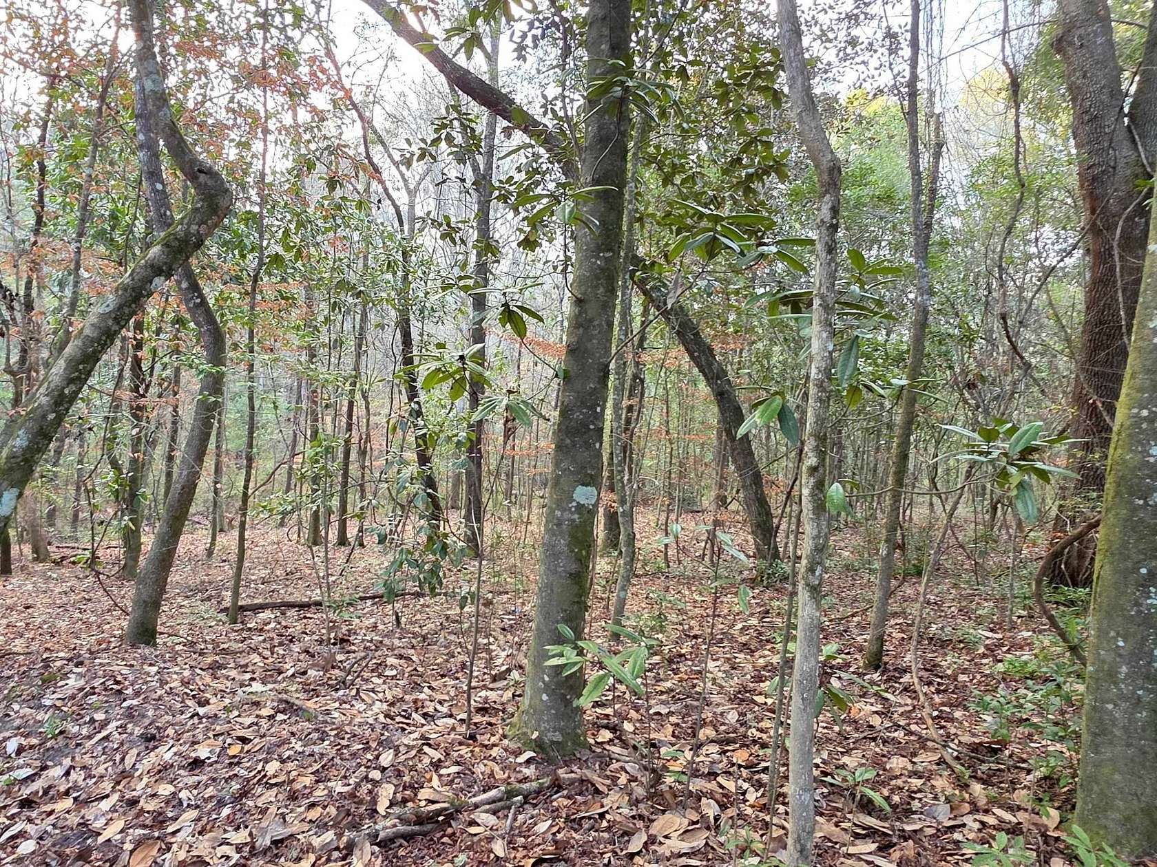 0.95 Acres of Land for Sale in Tallahassee, Florida