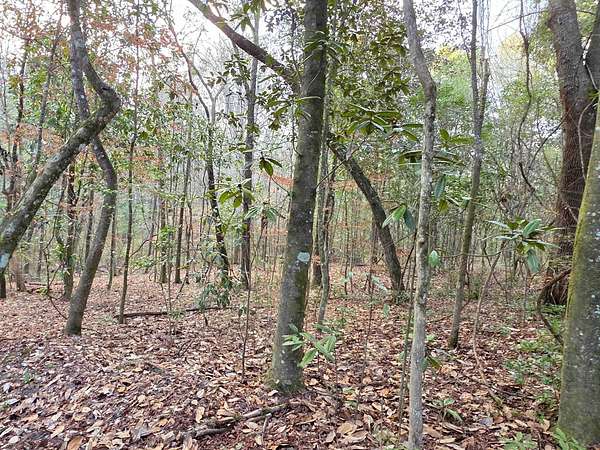 0.95 Acres of Land for Sale in Tallahassee, Florida