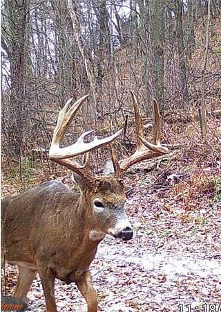 80 Acres of Recreational Land for Sale in Fairchild, Wisconsin