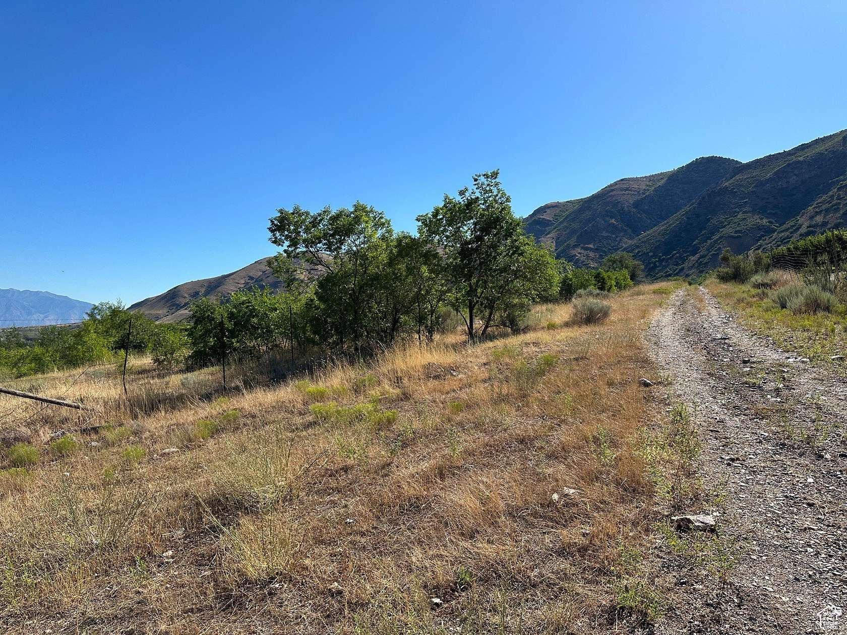 53.6 Acres of Agricultural Land for Sale in Santaquin, Utah