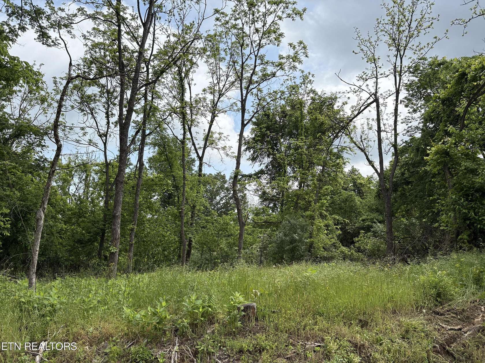 3 Acres of Residential Land for Sale in Lenoir City, Tennessee