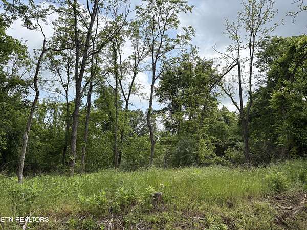 3 Acres of Residential Land for Sale in Lenoir City, Tennessee