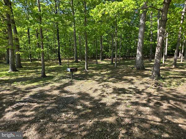 5.5 Acres of Land for Sale in Springfield, West Virginia