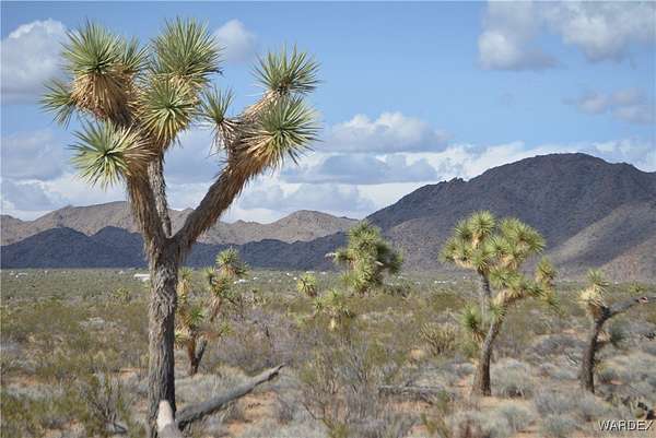5.5 Acres of Land for Sale in Yucca, Arizona