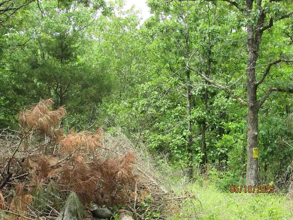 39.6 Acres of Recreational Land for Sale in Cabot, Arkansas