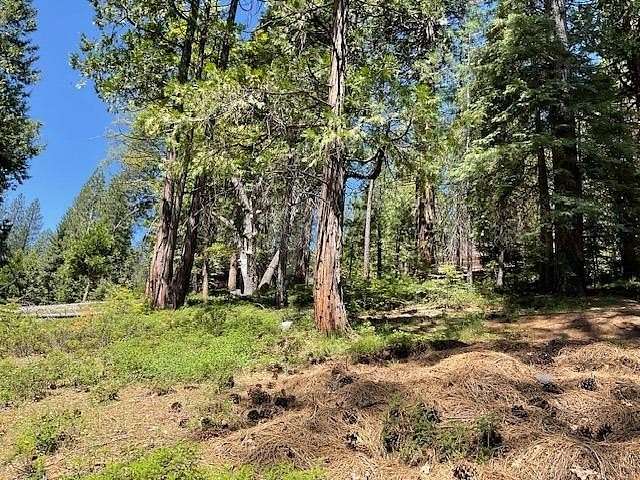 0.42 Acres of Residential Land for Sale in Arnold, California