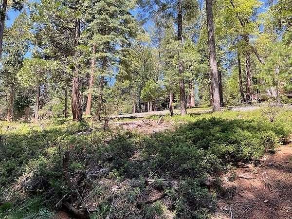 0.42 Acres of Residential Land for Sale in Arnold, California