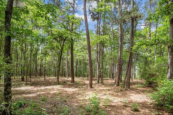 5 Acres of Residential Land for Sale in Lufkin, Texas