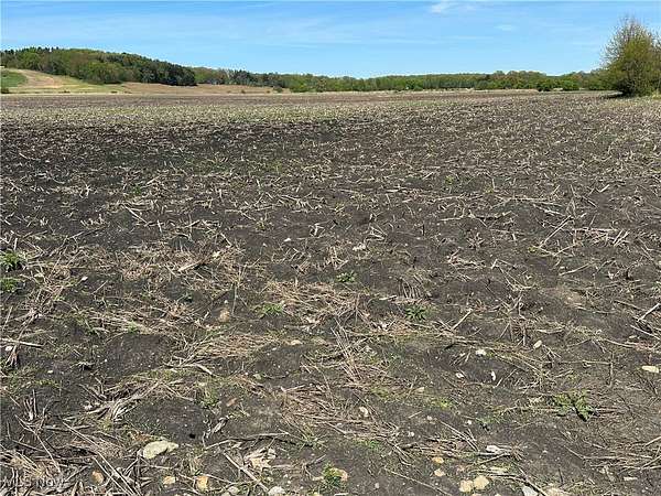 39 Acres of Agricultural Land for Sale in Orrville, Ohio