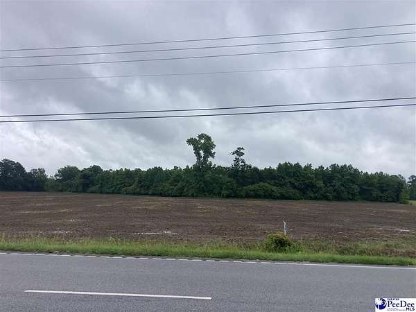28 Acres of Commercial Land for Sale in Dillon, South Carolina