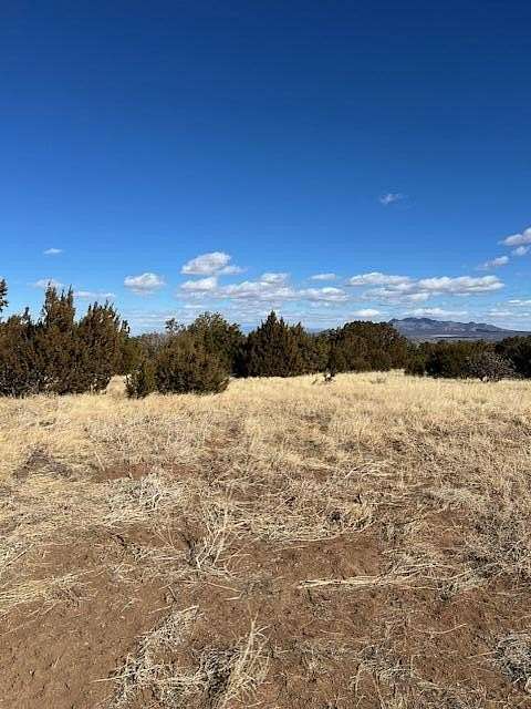 19.9 Acres of Recreational Land for Sale in Sandia Park, New Mexico