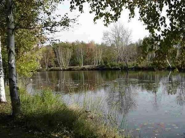 0.28 Acres of Residential Land for Sale in Houghton Lake, Michigan