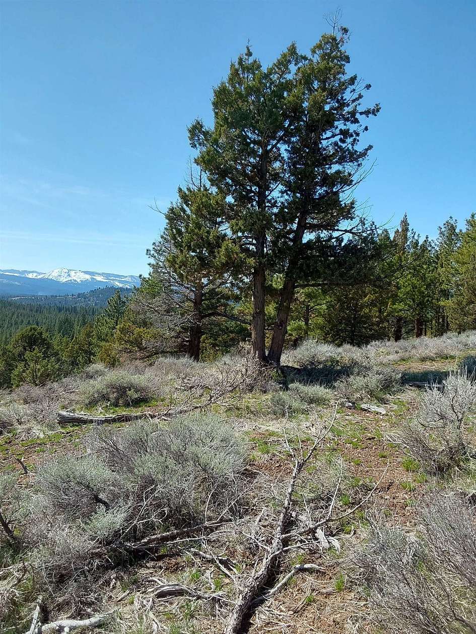 5.14 Acres of Land for Sale in Portola, California