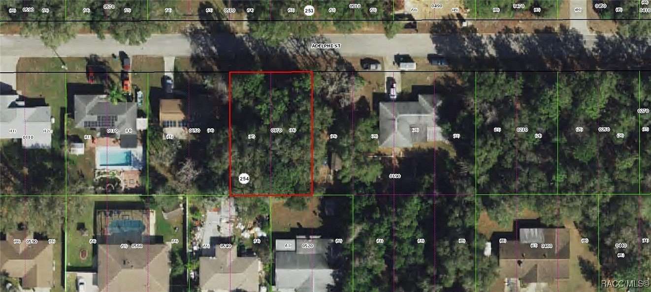 0.22 Acres of Residential Land for Sale in Inverness, Florida
