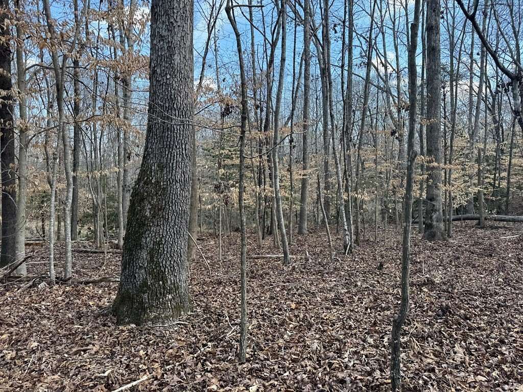 152 Acres of Recreational Land for Sale in Donalds, South Carolina