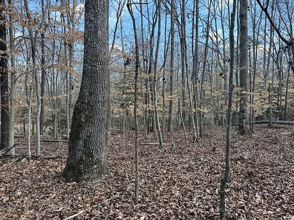152 Acres of Recreational Land for Sale in Donalds, South Carolina