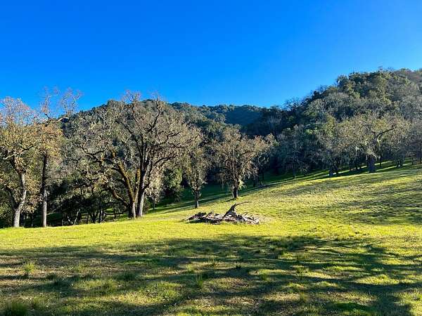 19.2 Acres of Land for Sale in Carmel-by-the-Sea, California