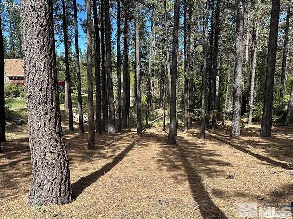 0.35 Acres of Residential Land for Sale in Markleeville, California