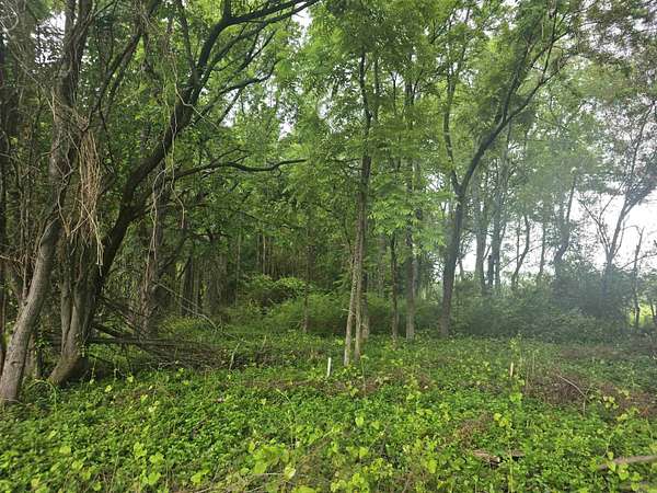 1.73 Acres of Residential Land for Sale in Beebe, Arkansas