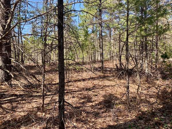 Residential Land for Sale in Paradise, Michigan