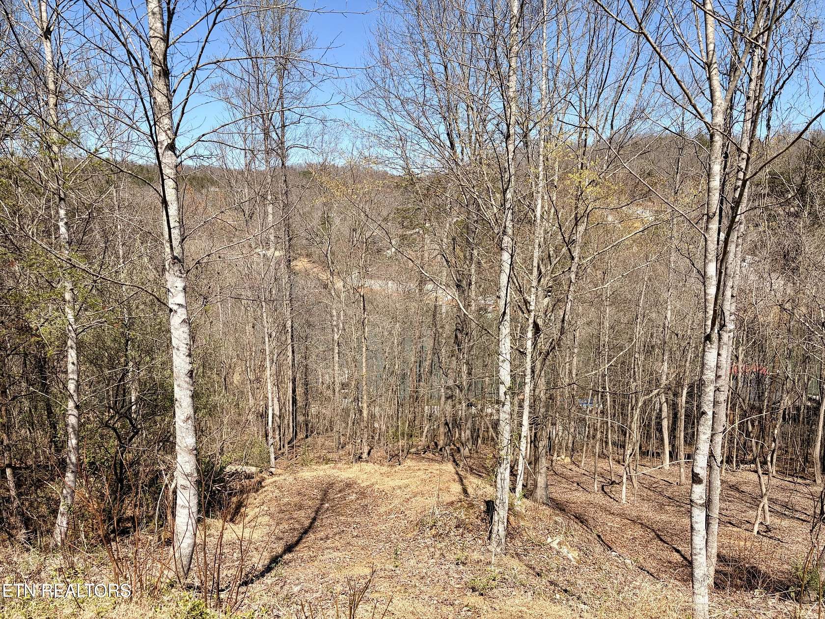 0.94 Acres of Residential Land for Sale in La Follette, Tennessee