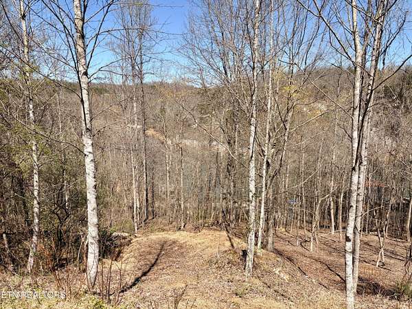 0.94 Acres of Residential Land for Sale in La Follette, Tennessee