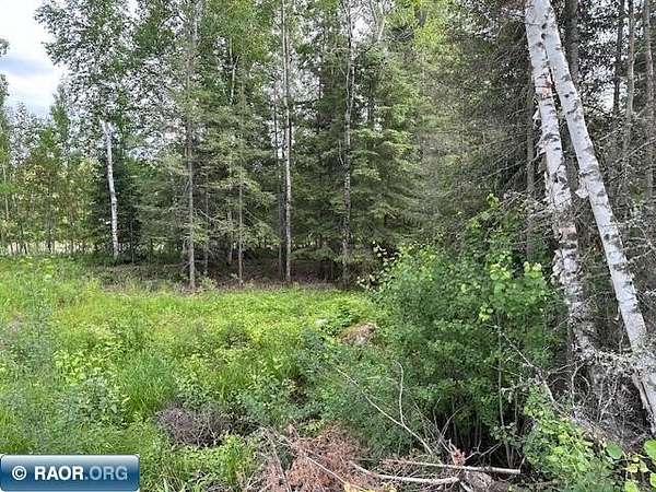0.44 Acres of Residential Land for Sale in Ely, Minnesota