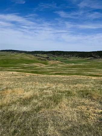40.6 Acres of Land for Sale in Sundance, Wyoming