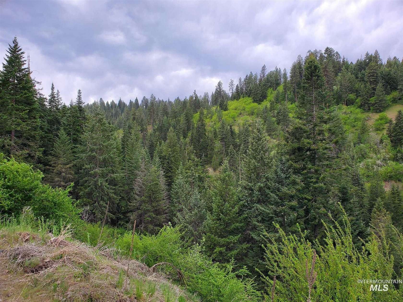 94 Acres of Recreational Land for Sale in Stites, Idaho