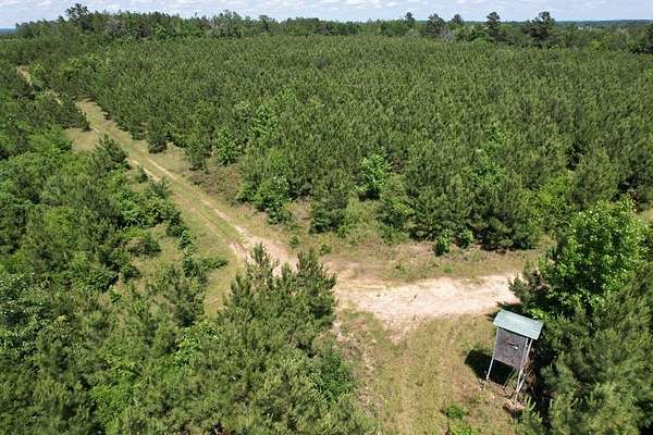 67.7 Acres of Recreational Land for Sale in Mount Enterprise, Texas