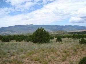 6.83 Acres of Land for Sale in Tijeras, New Mexico