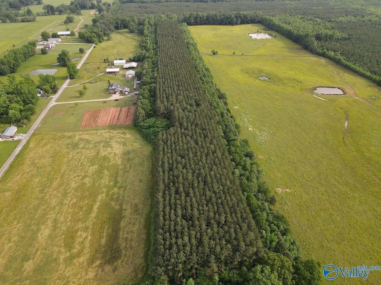 18.5 Acres of Land for Sale in Hillsboro, Alabama