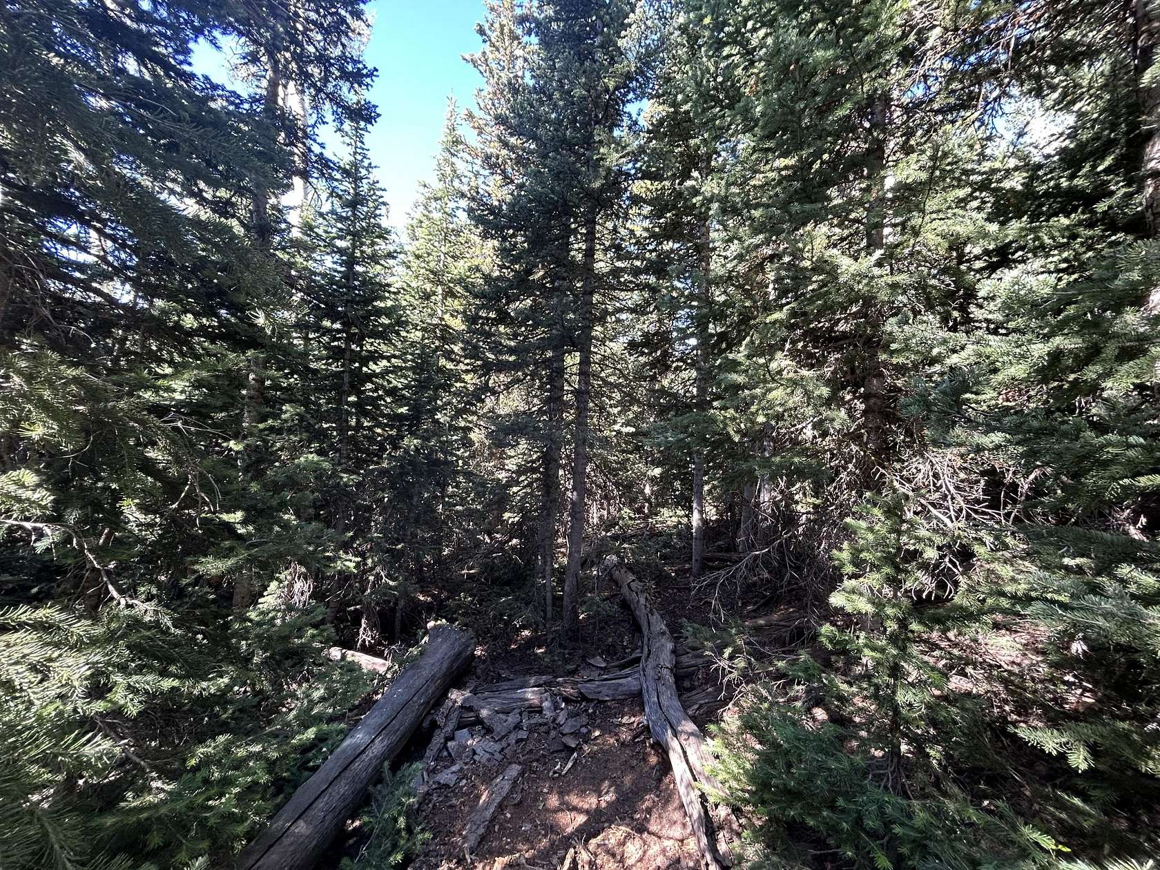 3.46 Acres of Residential Land for Sale in Brian Head, Utah